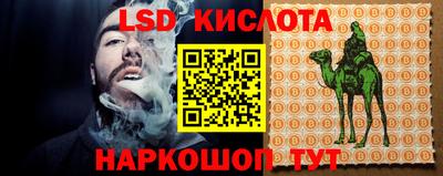 гидропоника Кингисепп