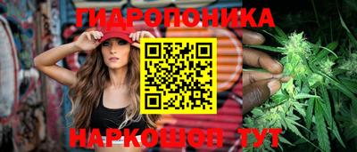 дмт Кимры