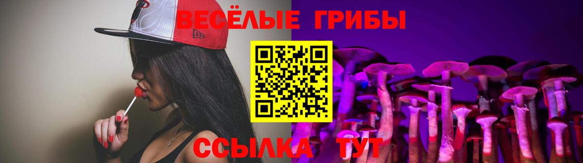 Галлюциногенные грибы Cubensis  Вход с VPN  Кострома 